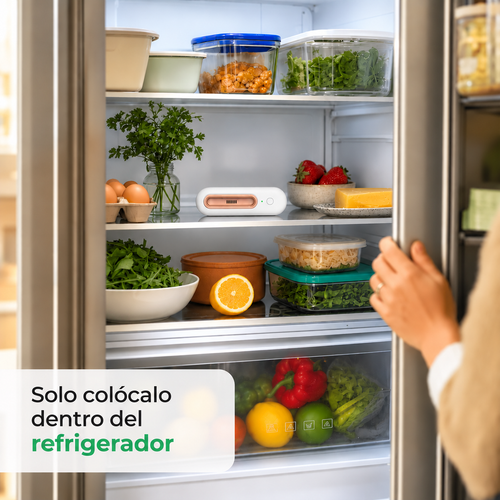 FrescoZen™ – Frescura y menos olores en tu refrigerador